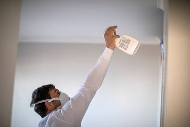 Best Office Mold Removal Services  in Lake Camelot, WI