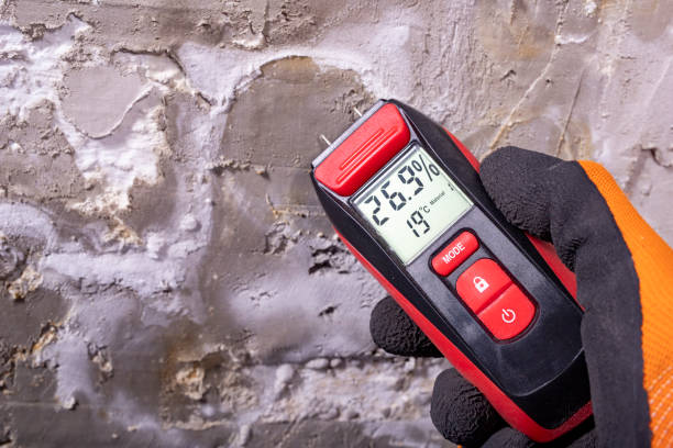 Best Mold Removal Near Me  in Lake Camelot, WI