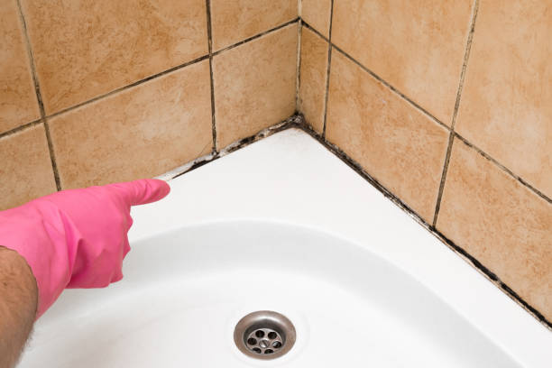 Best Residential Mold Removal  in Lake Camelot, WI